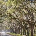 What are the top attractions in savannah georgia?