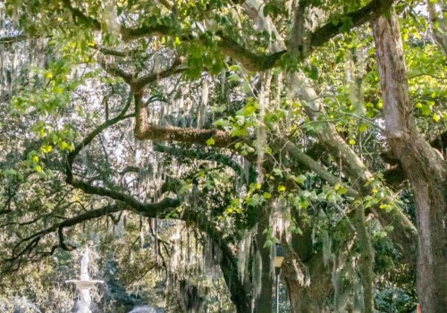 Are there any free attractions to visit in savannah georgia?