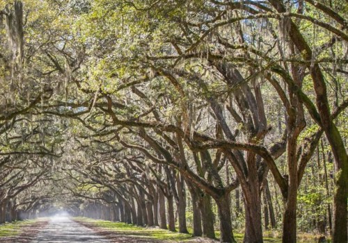 What are the top attractions in savannah georgia?